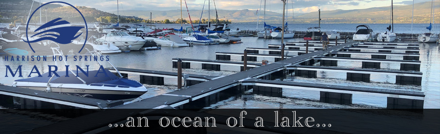 New State of the Art Docks and Slips at